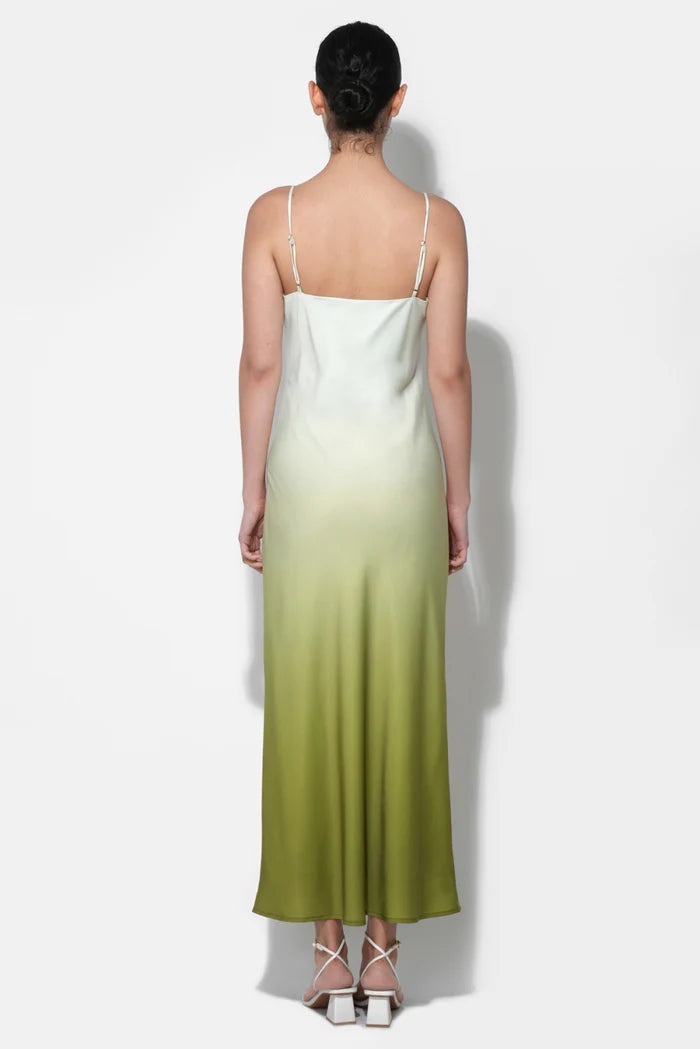 Adelyn Rae Ceclia Maxi Slip Dress in Lime Multi