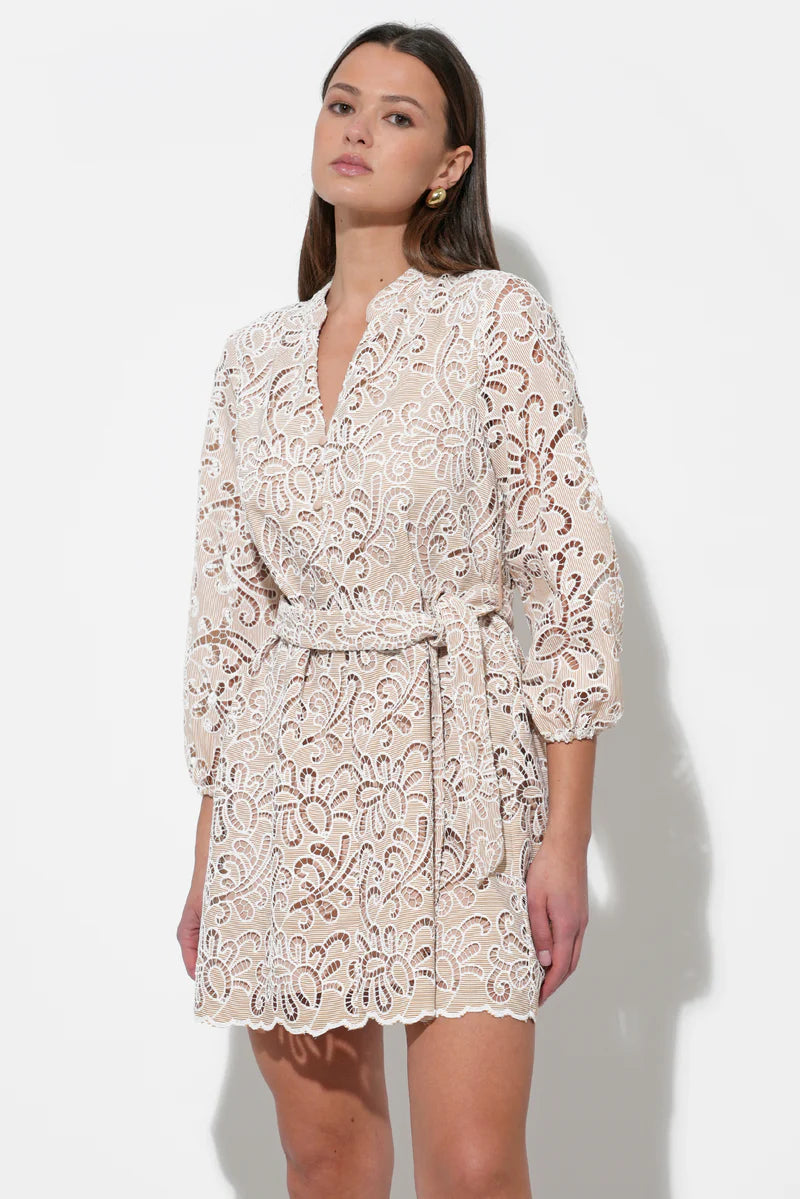 Adelyn Rae Lina Embroidered Eyelet Scalloped Belted Dress in Ivory