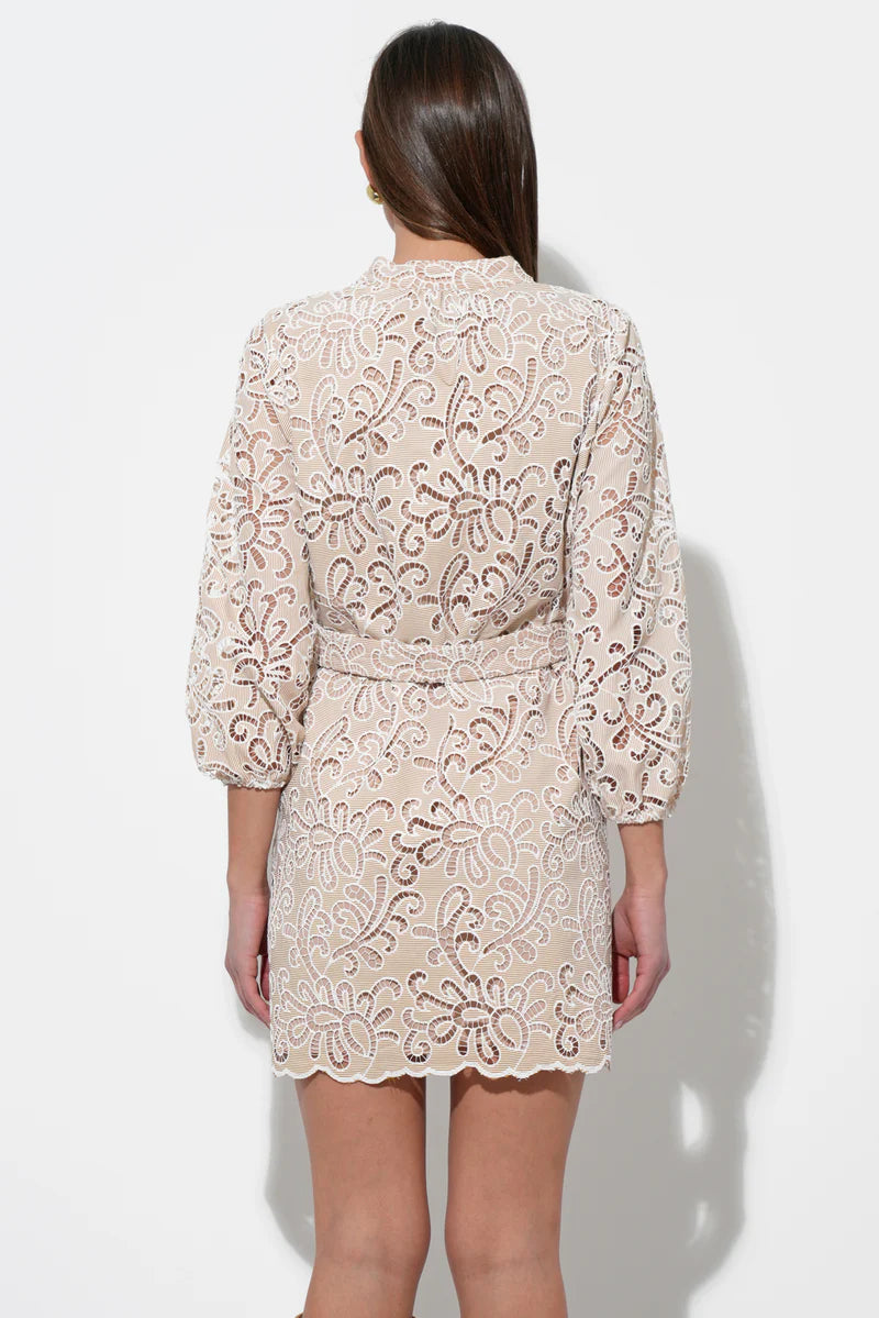 Adelyn Rae Lina Embroidered Eyelet Scalloped Belted Dress in Ivory