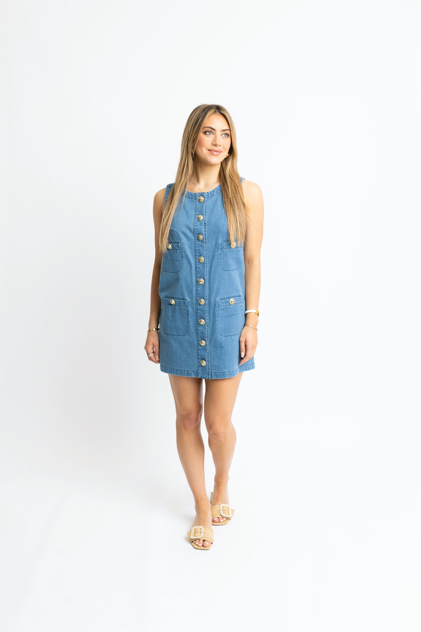 Karlie Button Front Dress in Denim Blue
