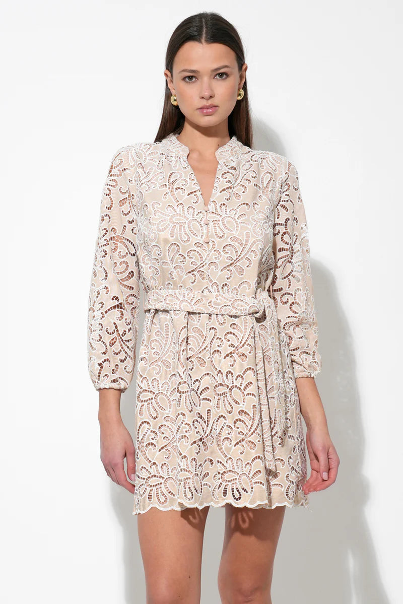 Adelyn Rae Lina Embroidered Eyelet Scalloped Belted Dress in Ivory