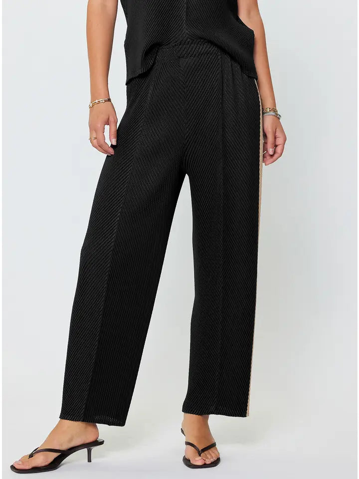 Pleated Tapered Pants W/Side Panels in Black
