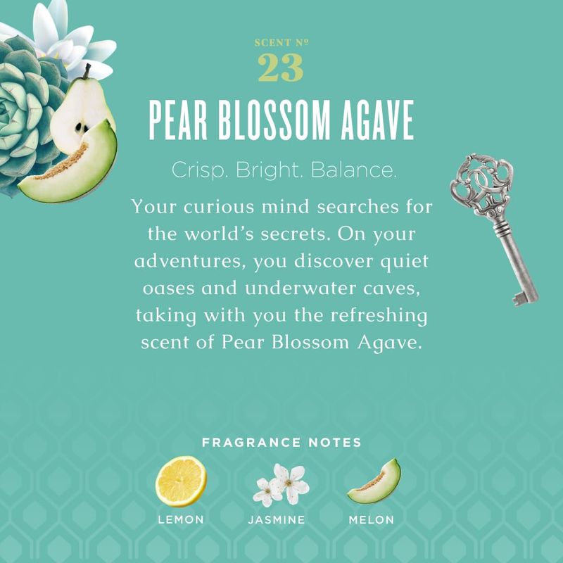 Caldrea Hand Soap in Pear Blossom Agave