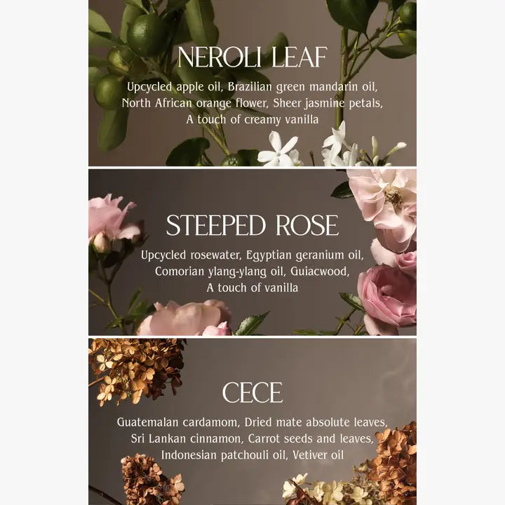 Homecourt Linen Spray in Cece