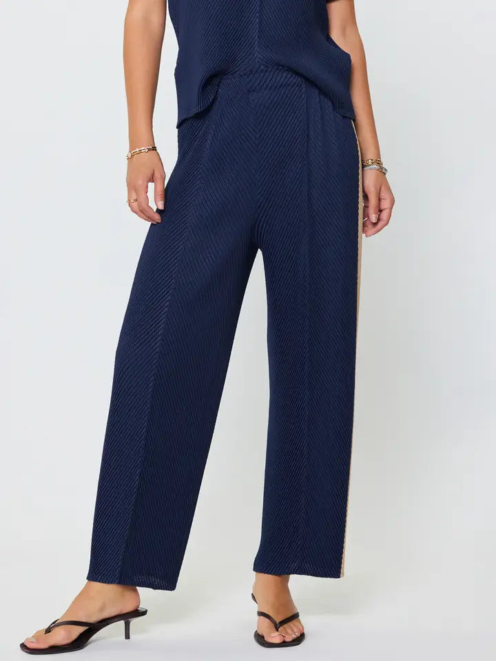 Pleated Tapered Pants W/Side Panels in Navy