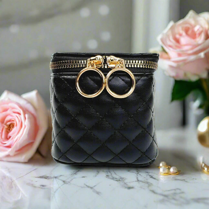 PurseN Train Jewelry Case