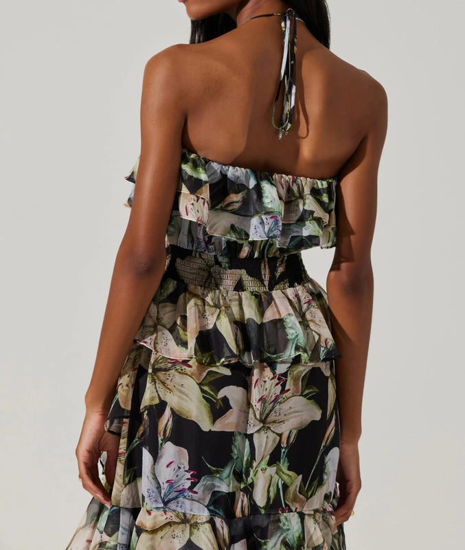 Astr the Label Elena Halter Maxi Dress in B+W Floral