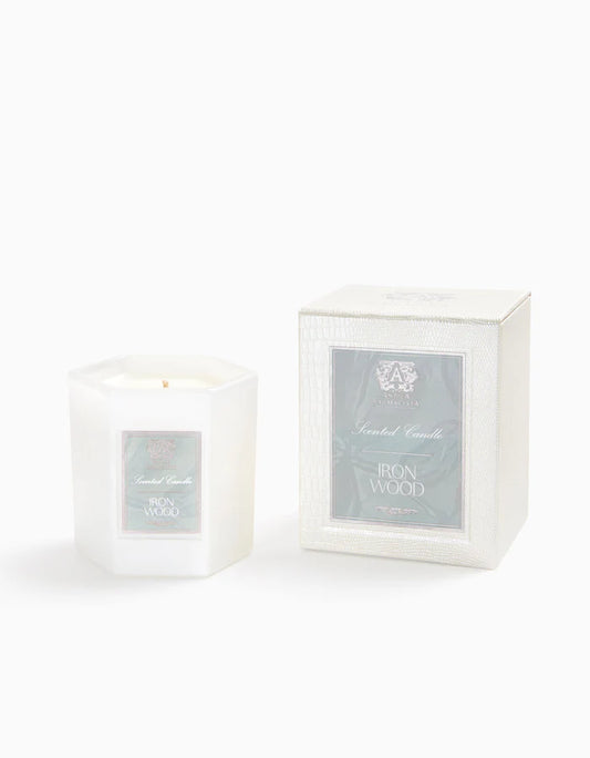 Antica Farmacista 9oz Candle in Iron Wood