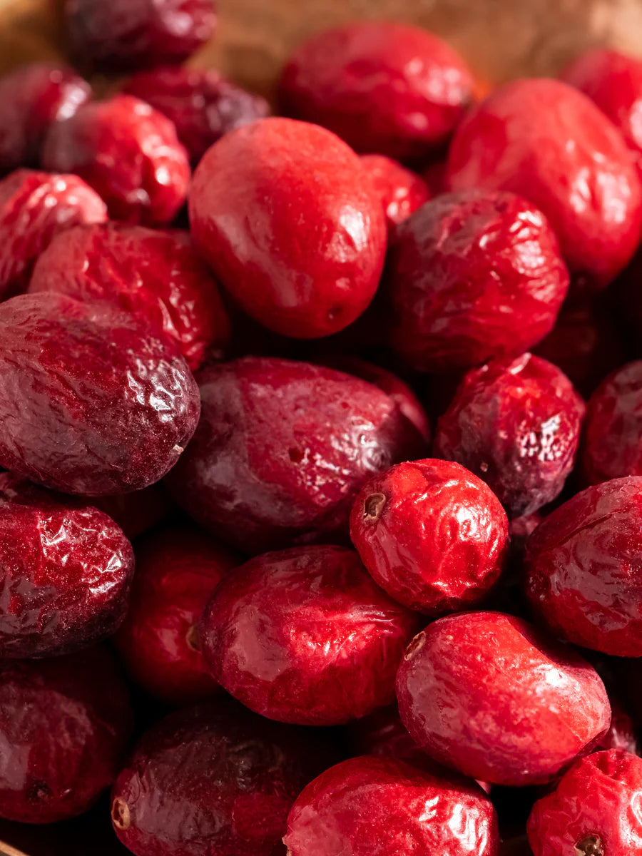 Pura Refill in Red Currant by Votivo