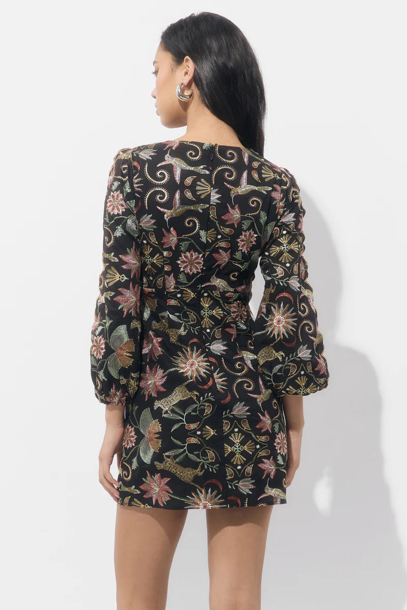 Adelyn Rae Juno Scallop Embroidered Mini Dress in Black