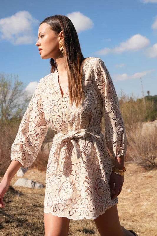 Adelyn Rae Lina Embroidered Eyelet Scalloped Belted Dress in Ivory