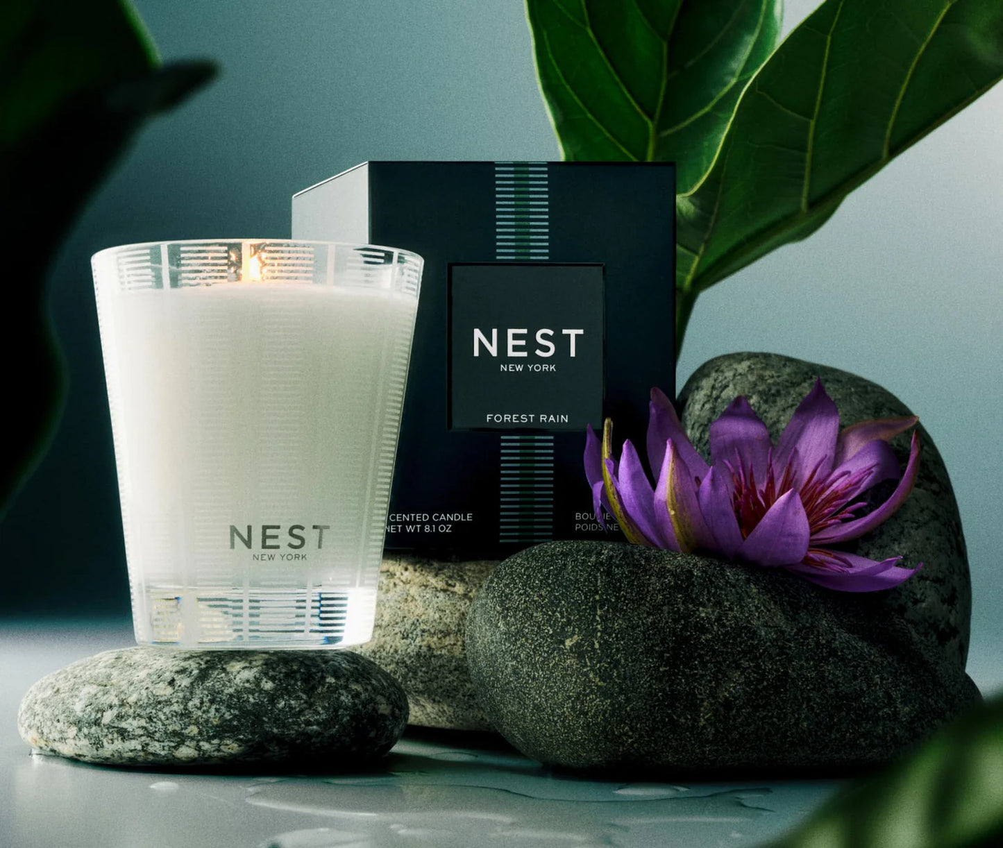 Nest New York Classic Candle in Forest Rain