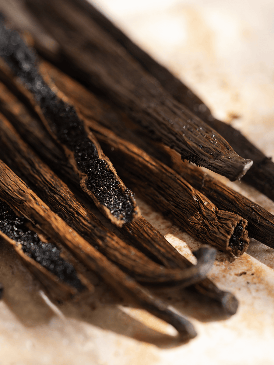 Pura Refill in Vanilla