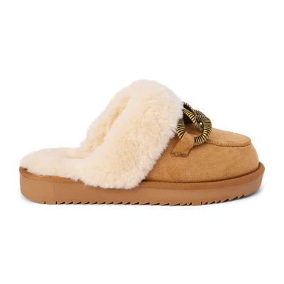 Matisse Footwear Taos Lounge Mule Slipper in Chestnut