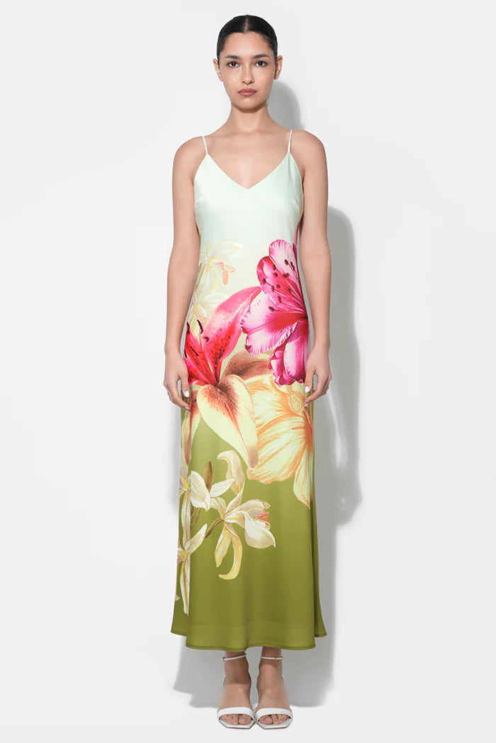 Adelyn Rae Ceclia Maxi Slip Dress in Lime Multi