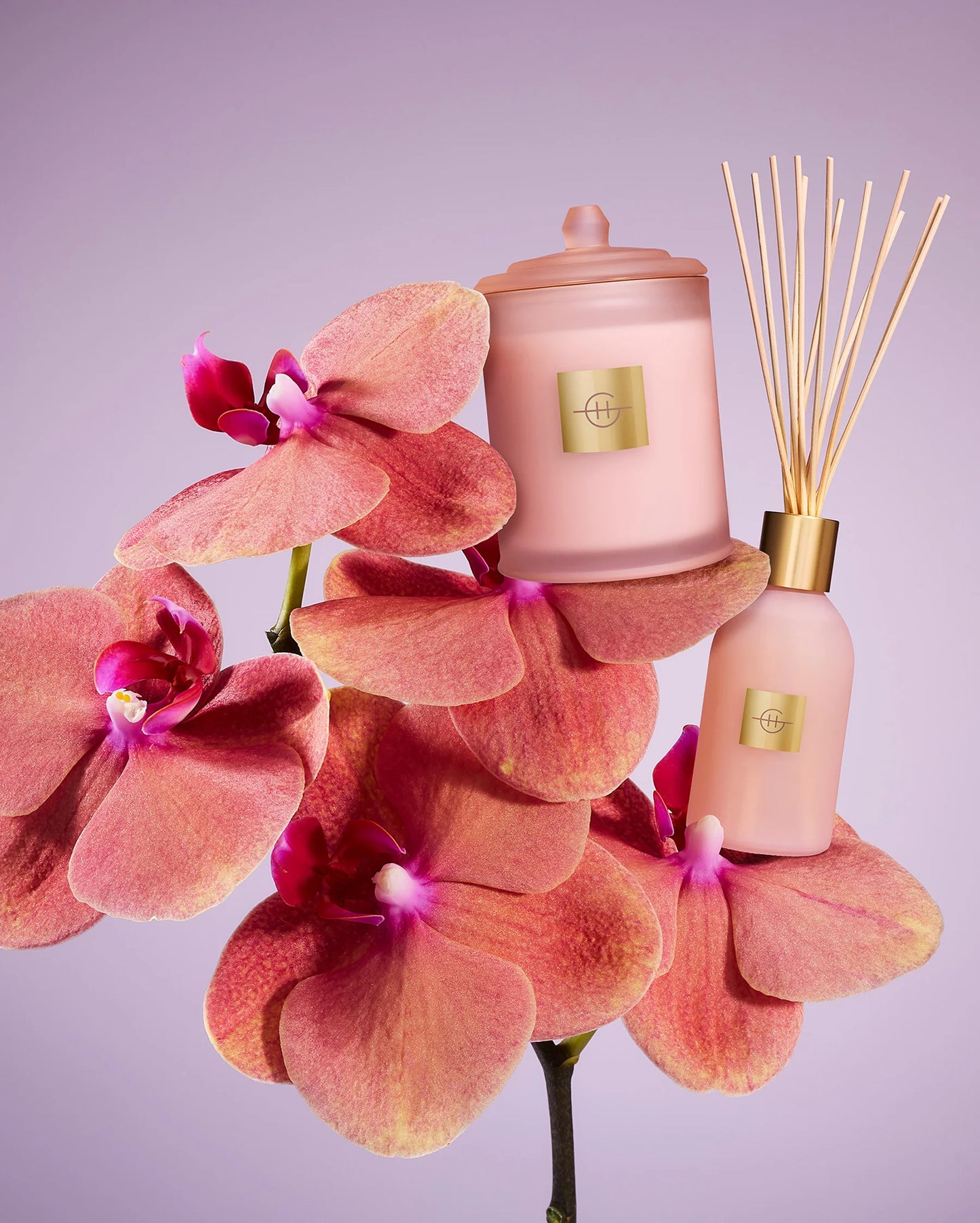 Glasshouse Fragrances Reed Diffuser in Radiance in Bloom