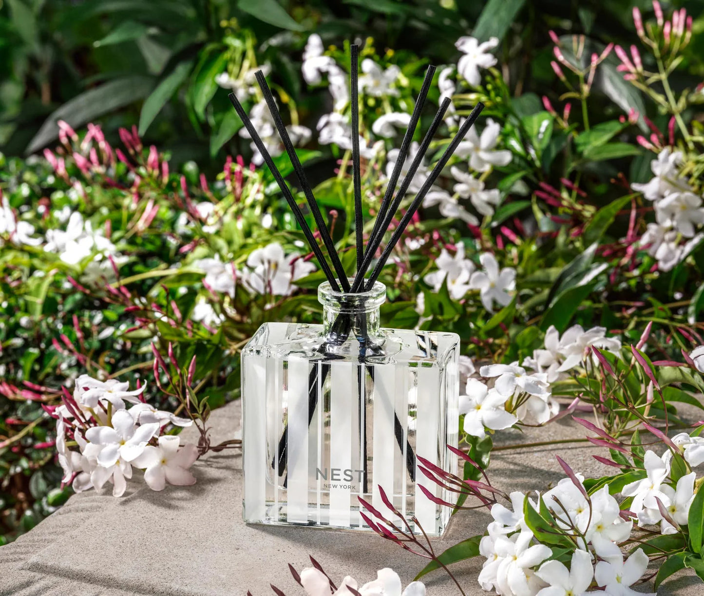 Nest New York Reed Diffuser in Indian Jasmine