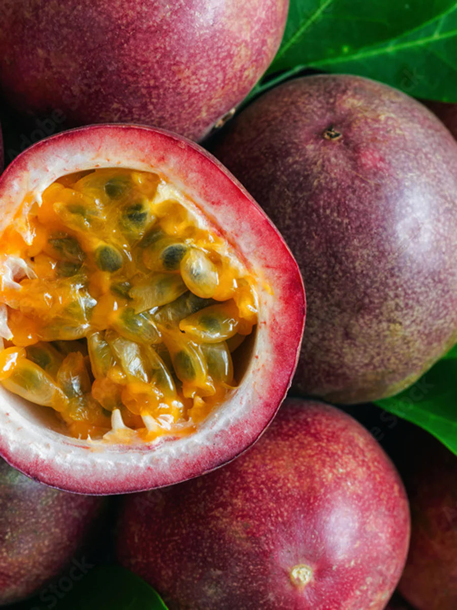 Pura Refill in One Night in Rio