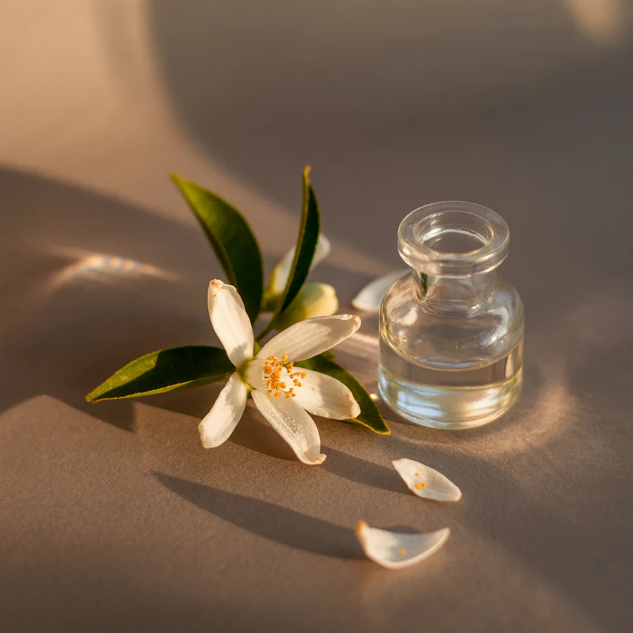 Pura Refill in Linens and Surf