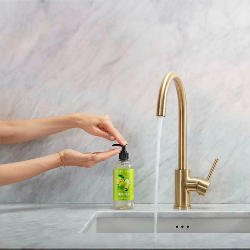 Caldrea Hand Soap in Ginger Pomelo